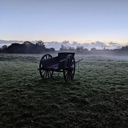 Ferme De Franqueville Сент-Марі-дю-Мон Екстер'єр фото