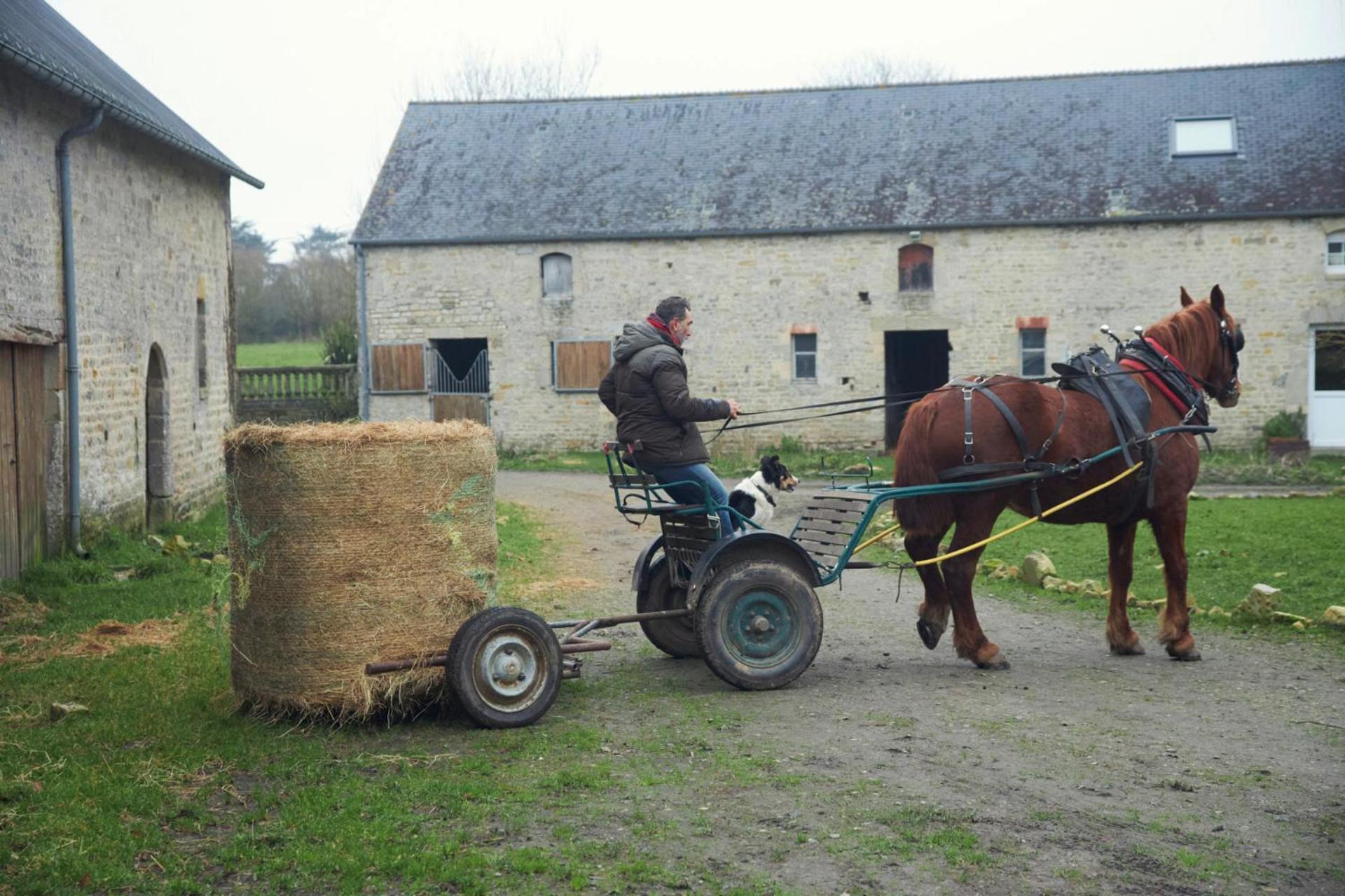 Ferme De Franqueville Сент-Марі-дю-Мон Екстер'єр фото